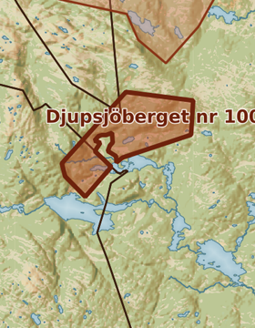 Kartutsnitt över Djupsjöberget nr 100