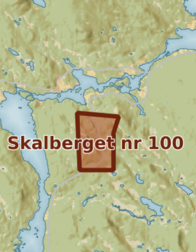 Kartutsnitt över Skalberget nr 100