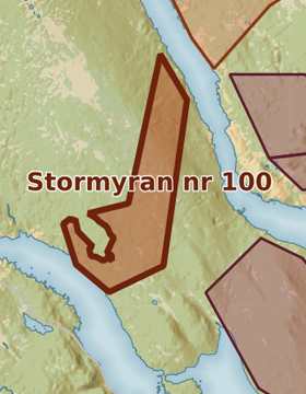 Kartutsnitt över Stormyran nr 100