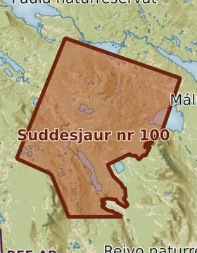 Kartutsnitt över Suddesjaur nr 100